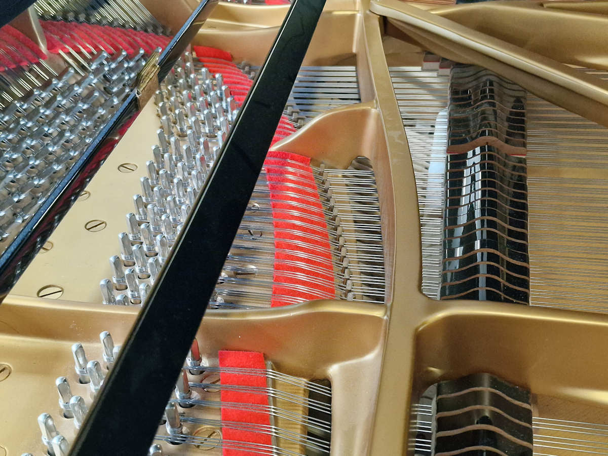 Steinway & Sons model D
