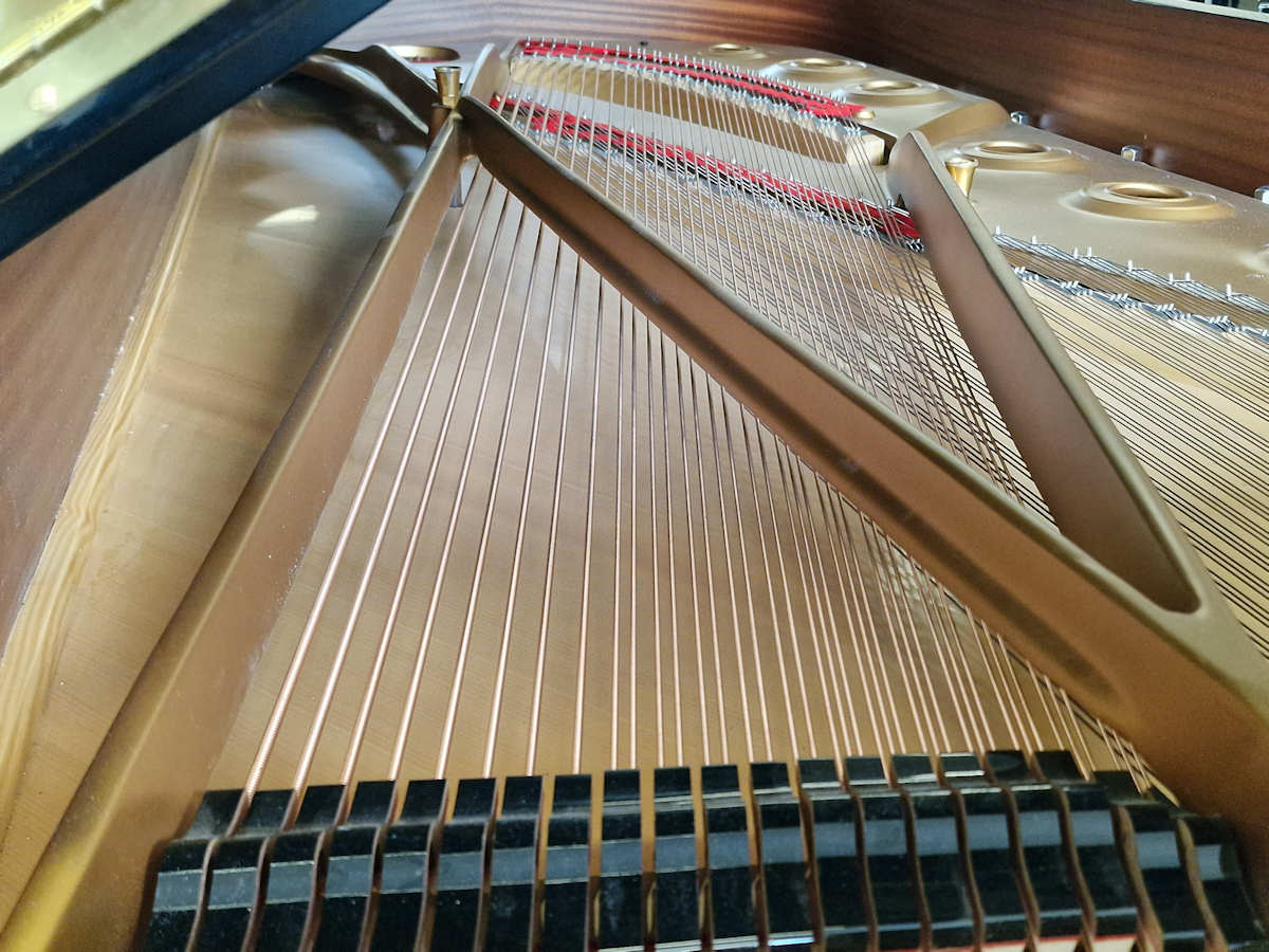 Steinway & Sons model D