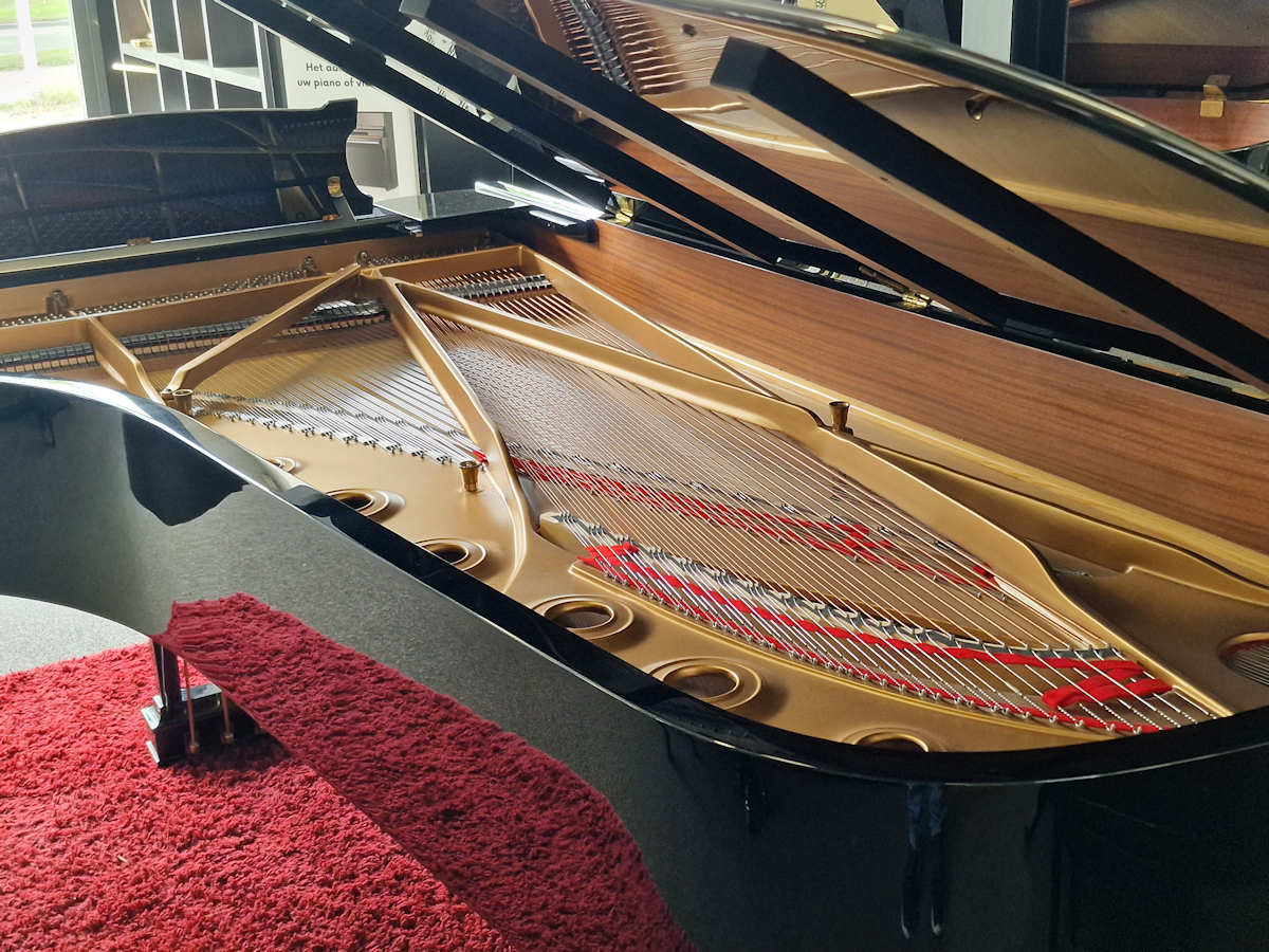 Steinway & Sons model D