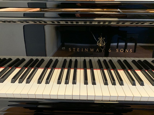 Steinway & Sons model D