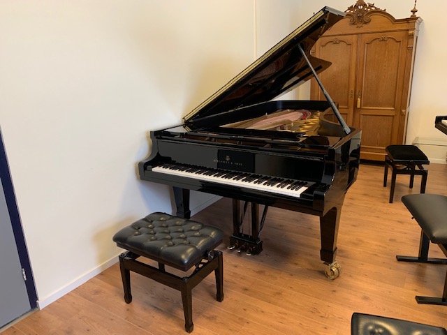 Steinway & Sons model D