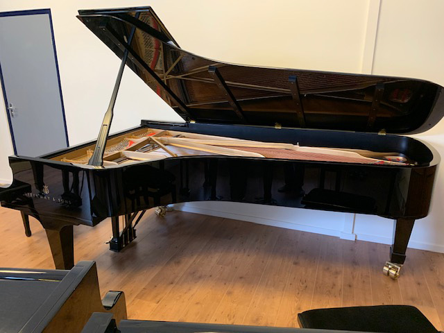 Steinway & Sons model D