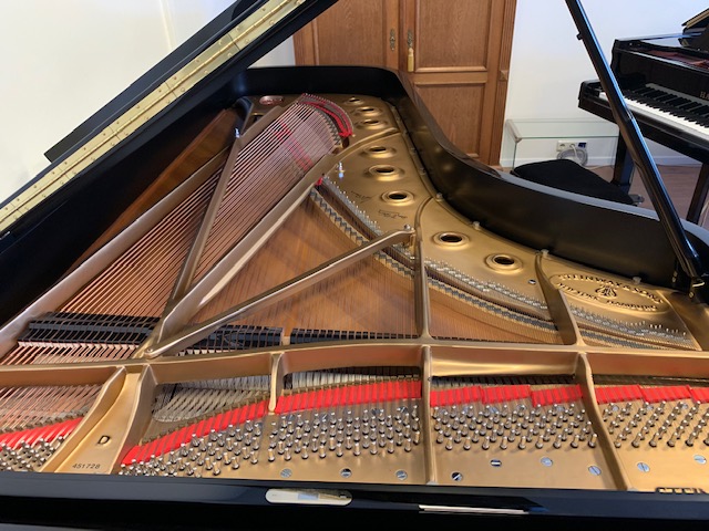 Steinway & Sons model D