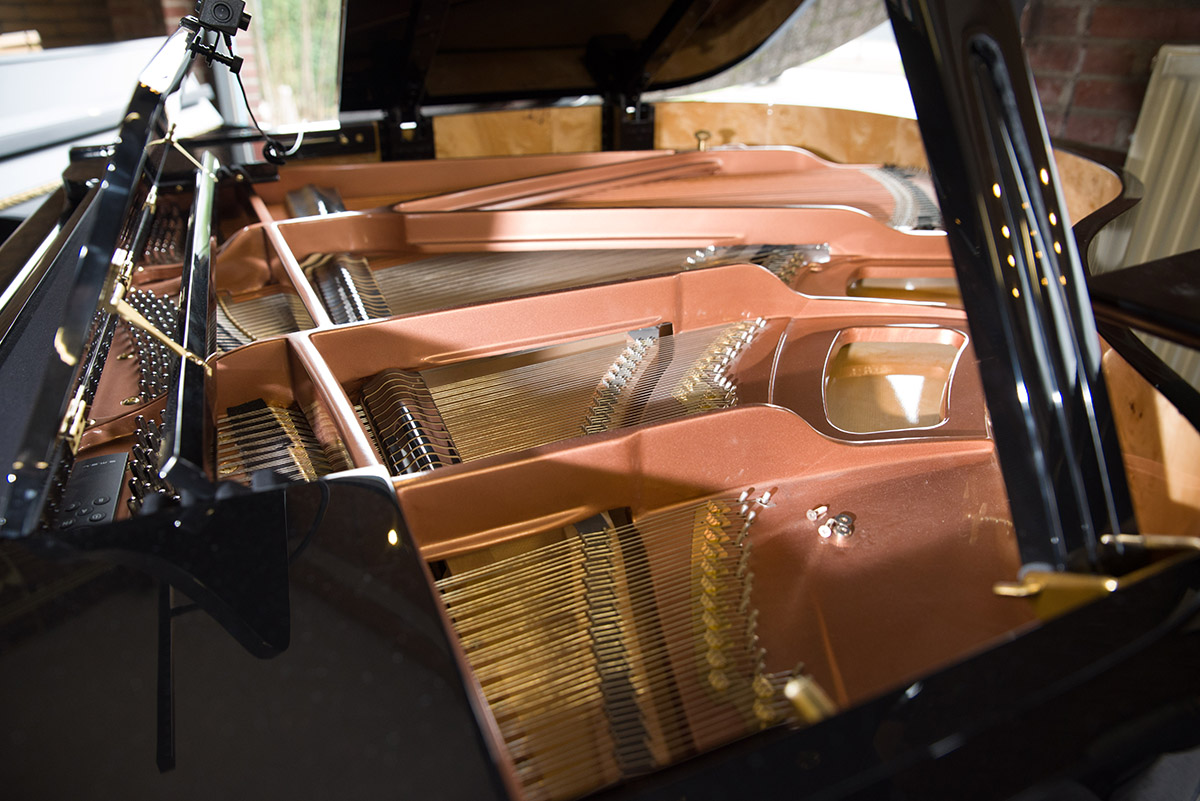 Hailun HP-161 - Afbeelding 2