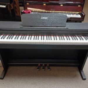 Entrada digitale piano, model D110