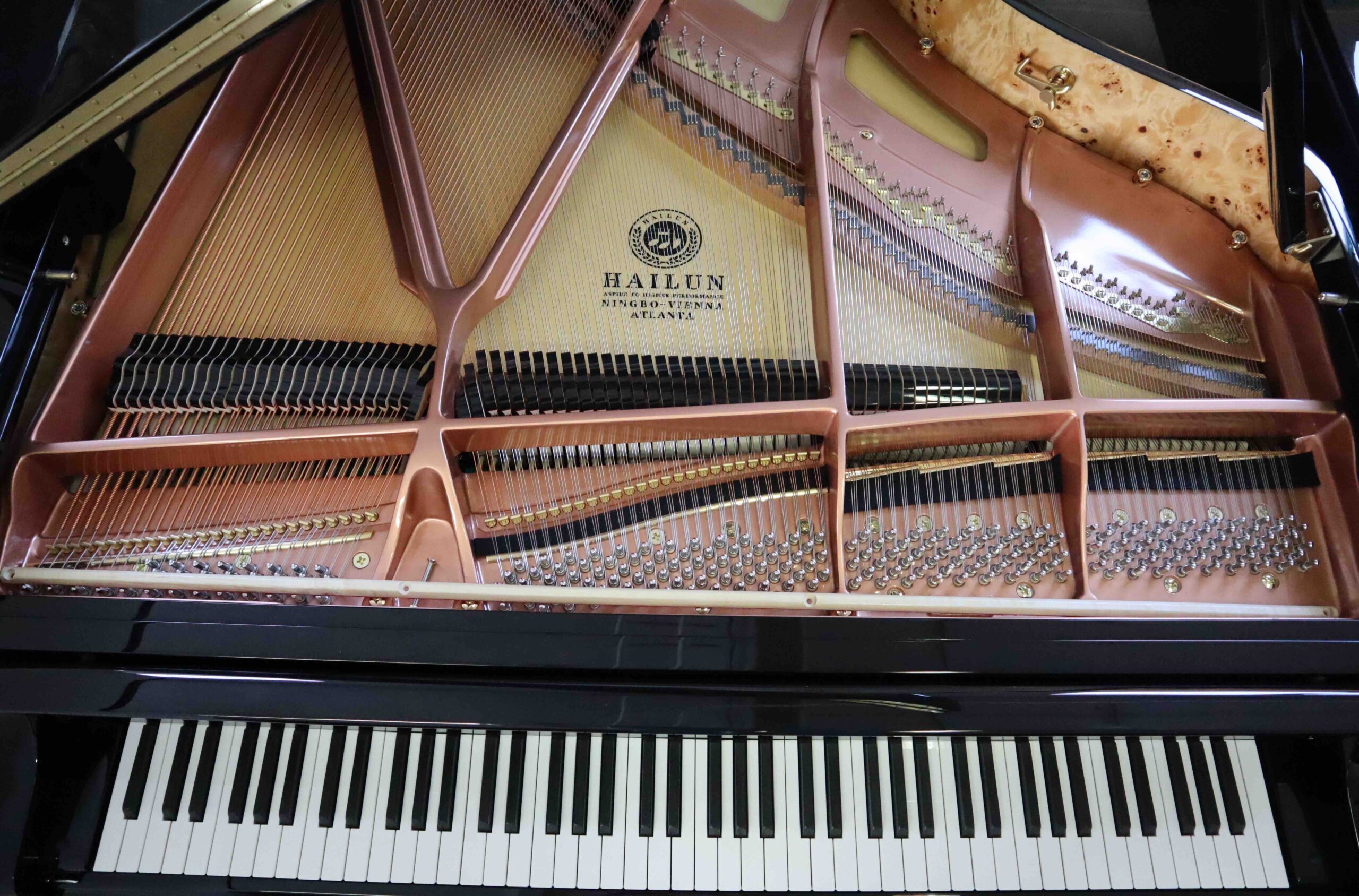 Hailun Model HG-178 - Afbeelding 3