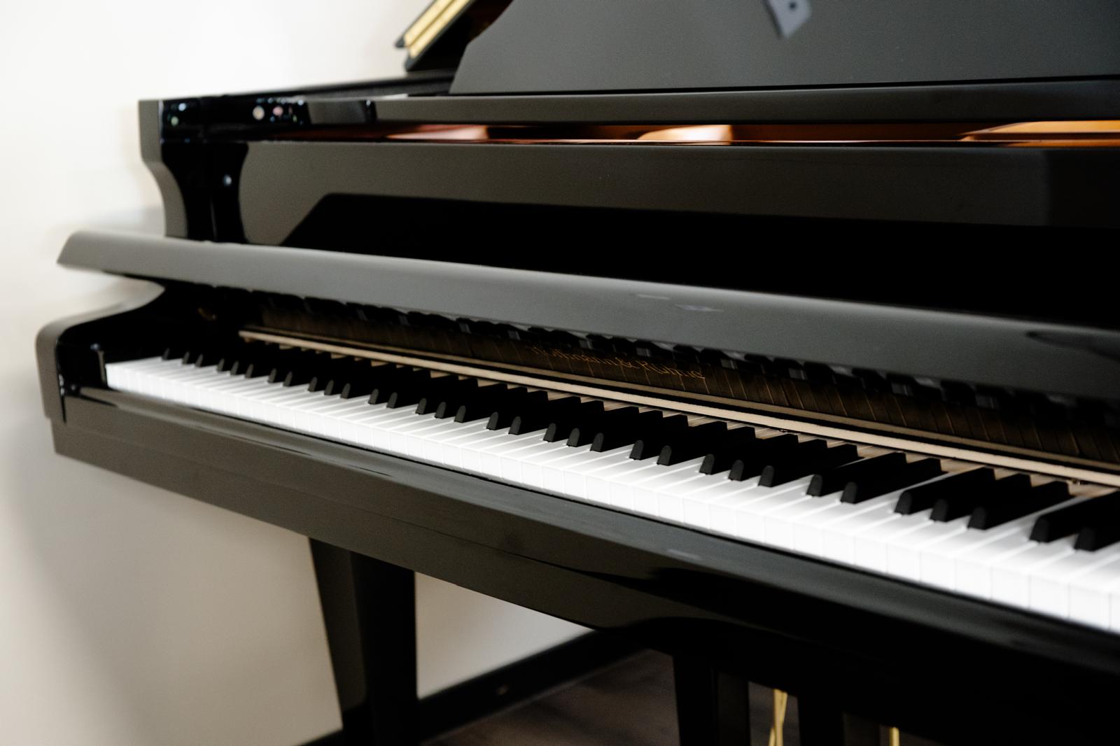 Hoffmann & Kühne vleugel - Afbeelding 6