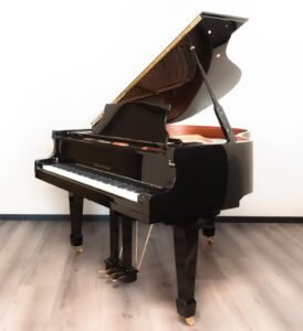 Hoffmann & Kühne vleugel