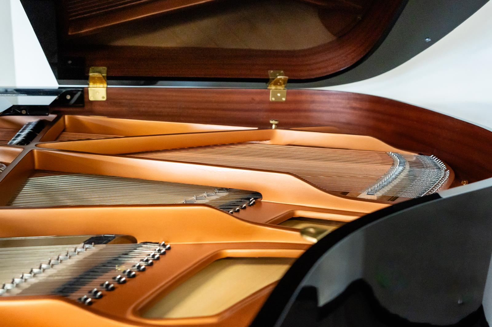 Hoffmann & Kühne vleugel - Afbeelding 3