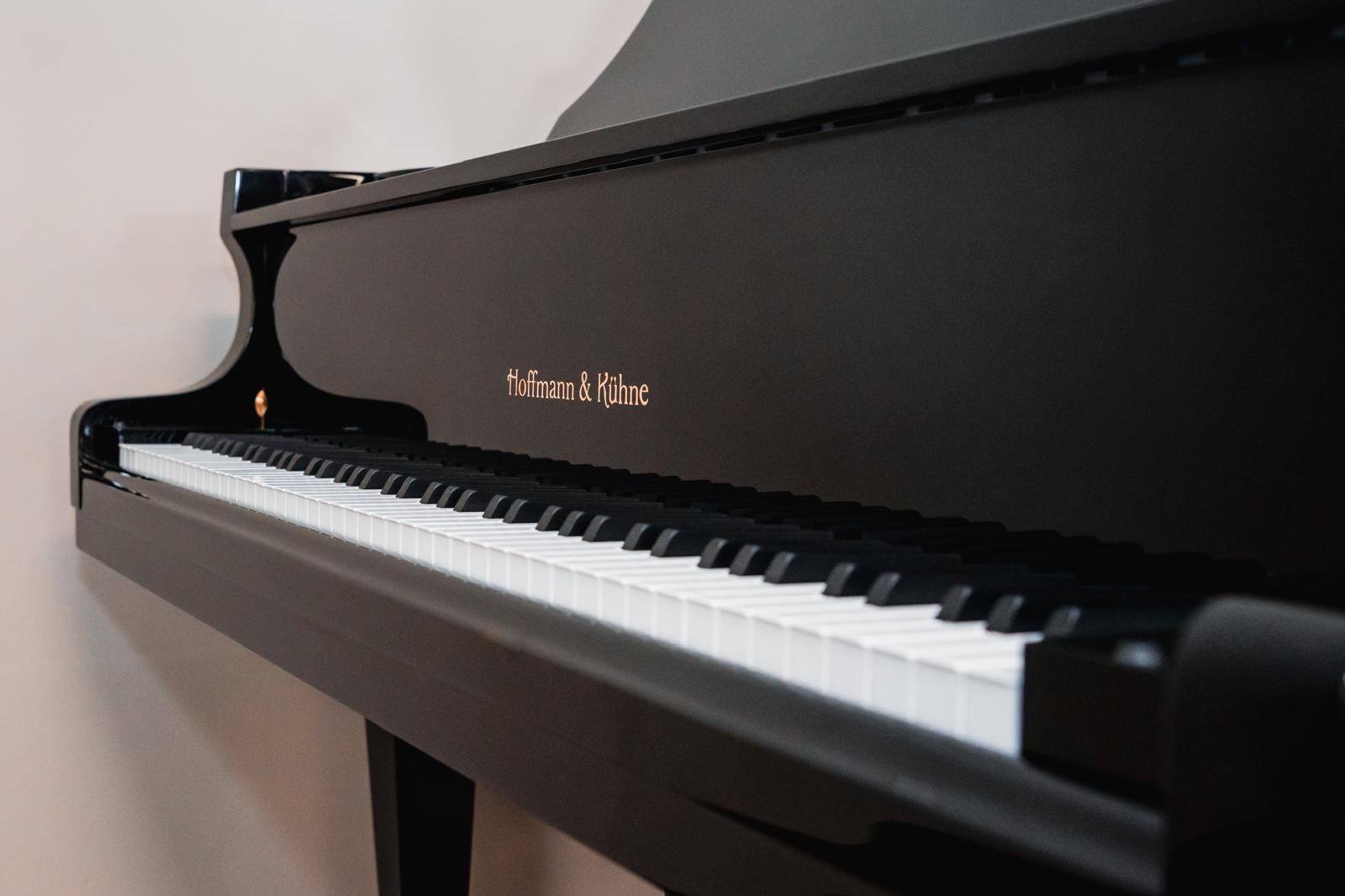 Hoffmann & Kühne vleugel - Afbeelding 5