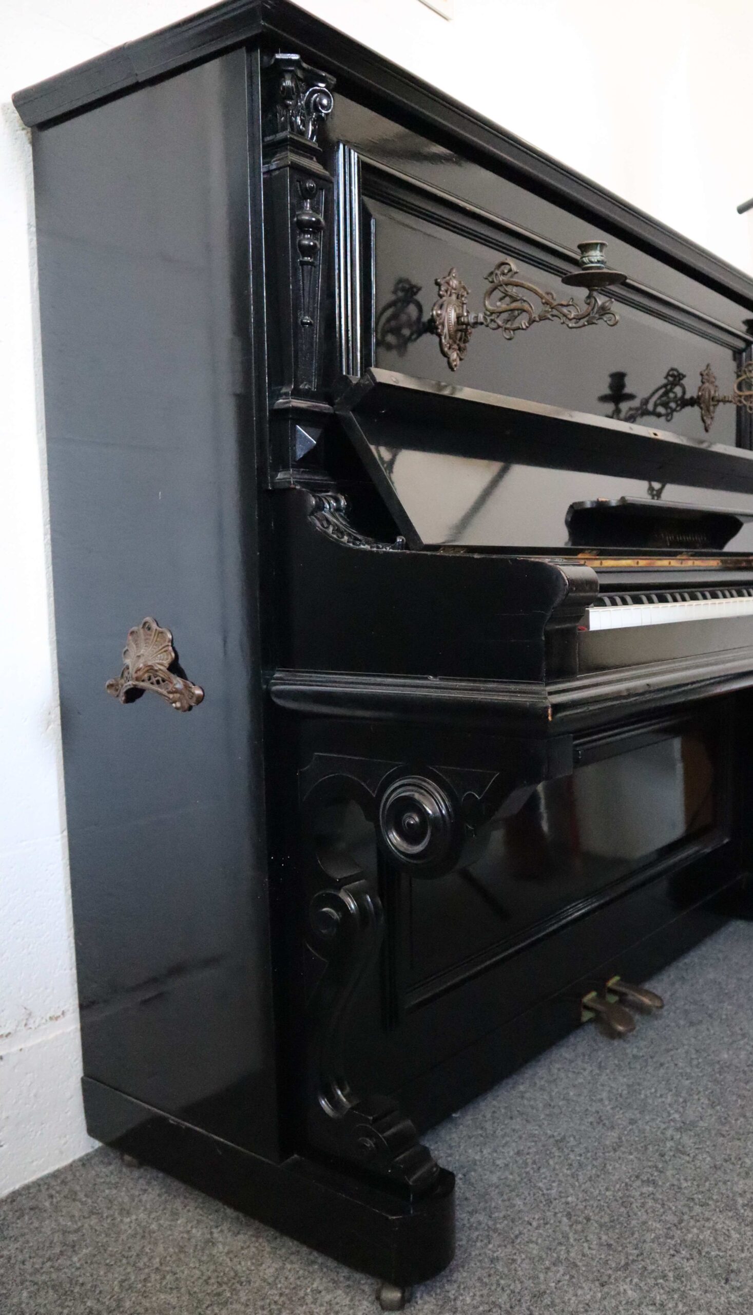 Sponnagel - Afbeelding 5