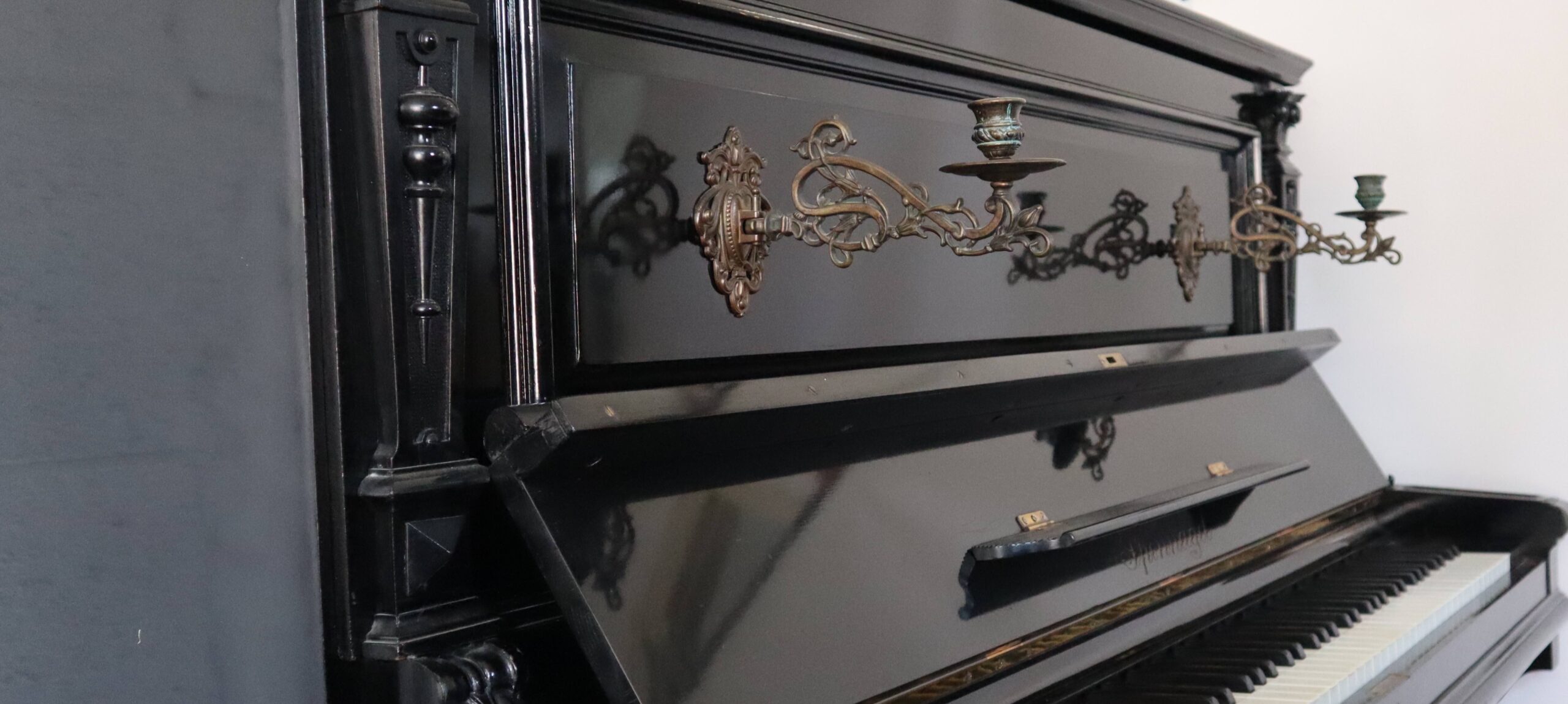 Sponnagel - Afbeelding 4