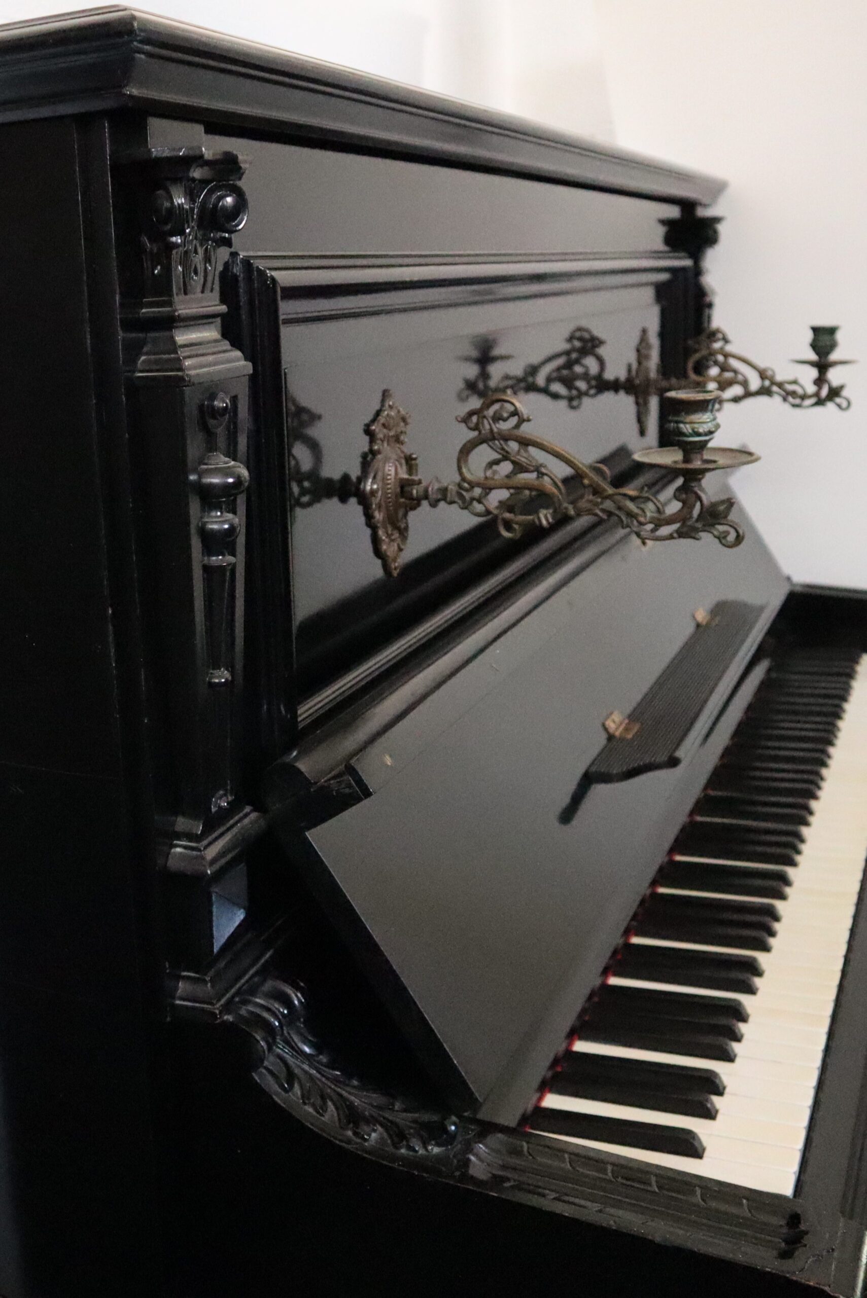 Sponnagel - Afbeelding 6