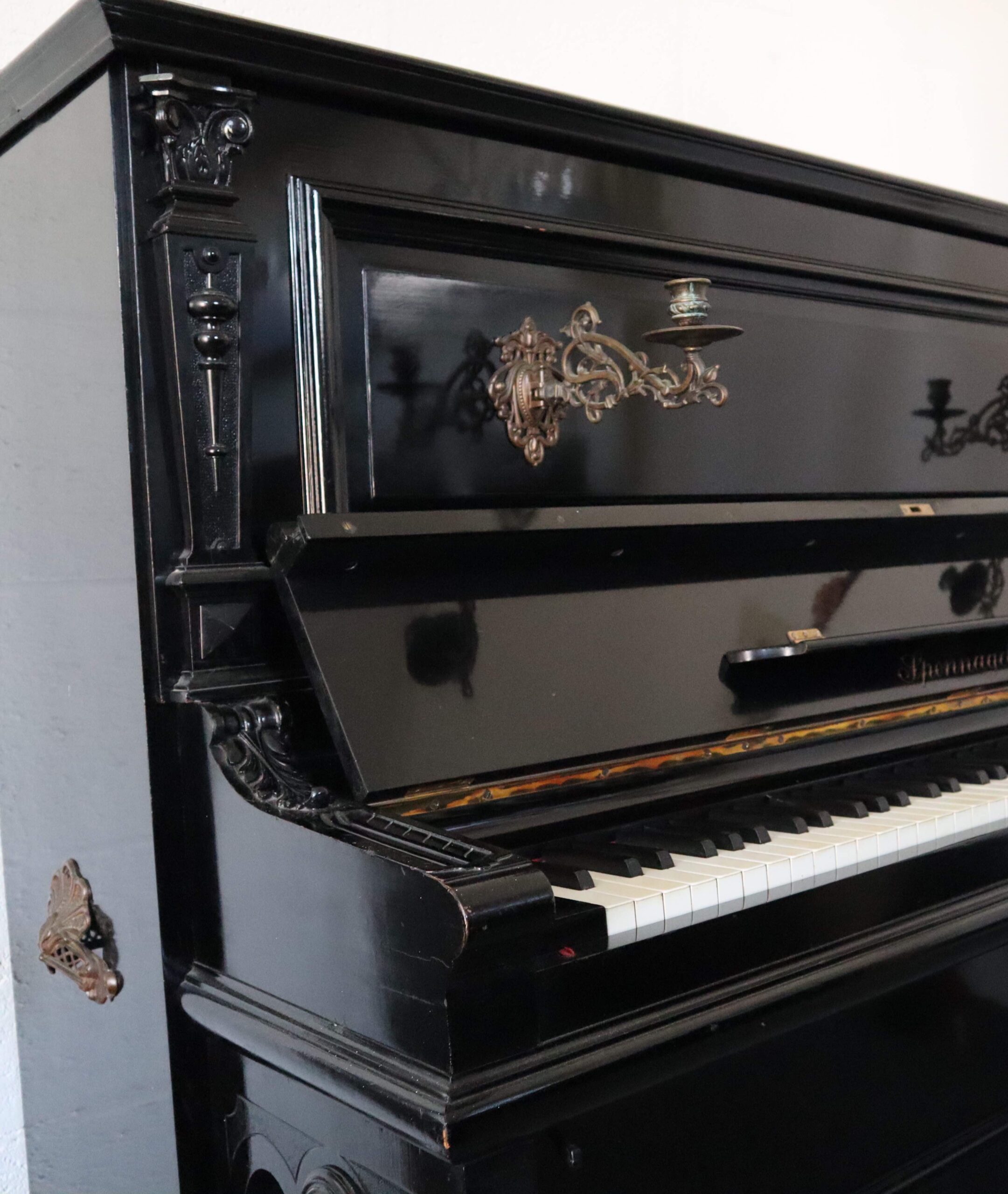 Sponnagel - Afbeelding 7