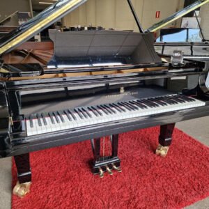 Steinway & Sons model D