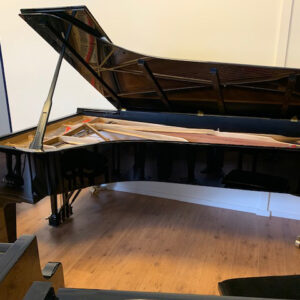 Steinway & Sons model D
