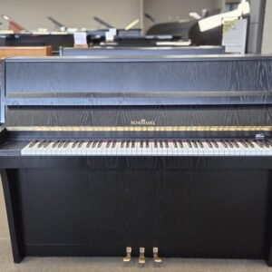 Schimmel